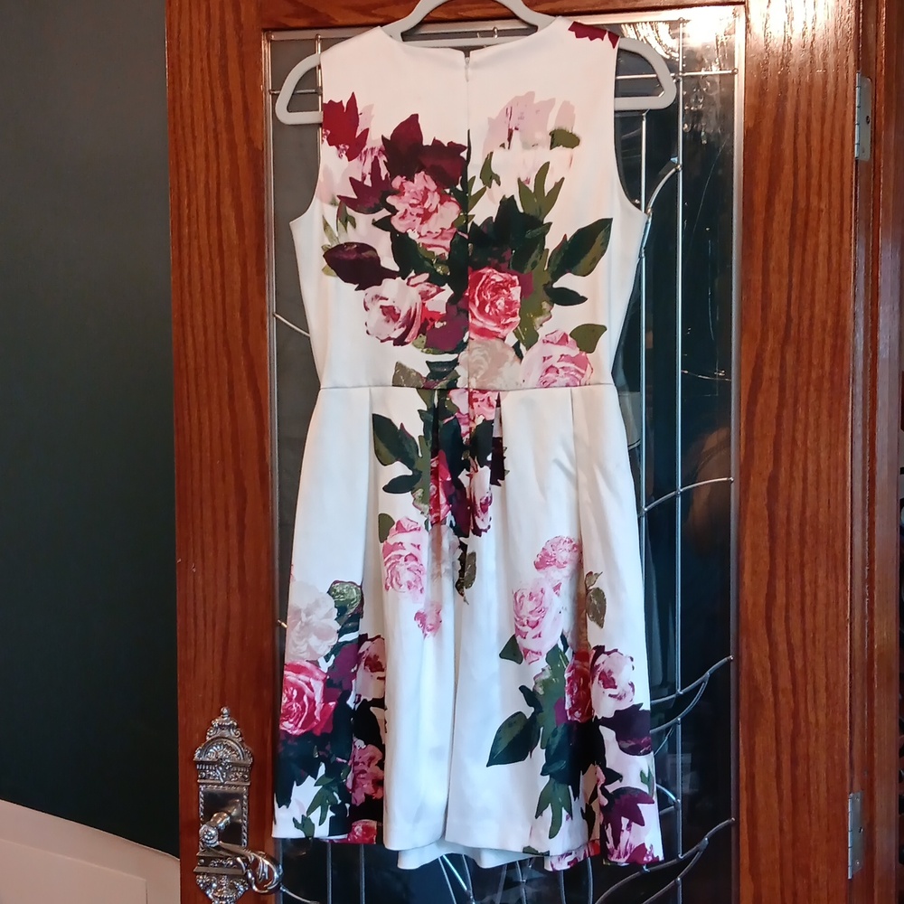 Blooming Roses Dress - Picture 6 of 6